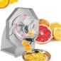 Dalle SL Kuru Meyve-Et-Sebze-Ot Dilimleme Makinesi
